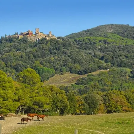 Ferienhaus Podere Le Maccagnane 66 *